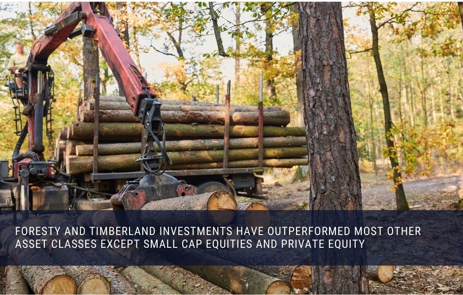 Timberland and forestry investment have outperformed most other asset classes in the long term