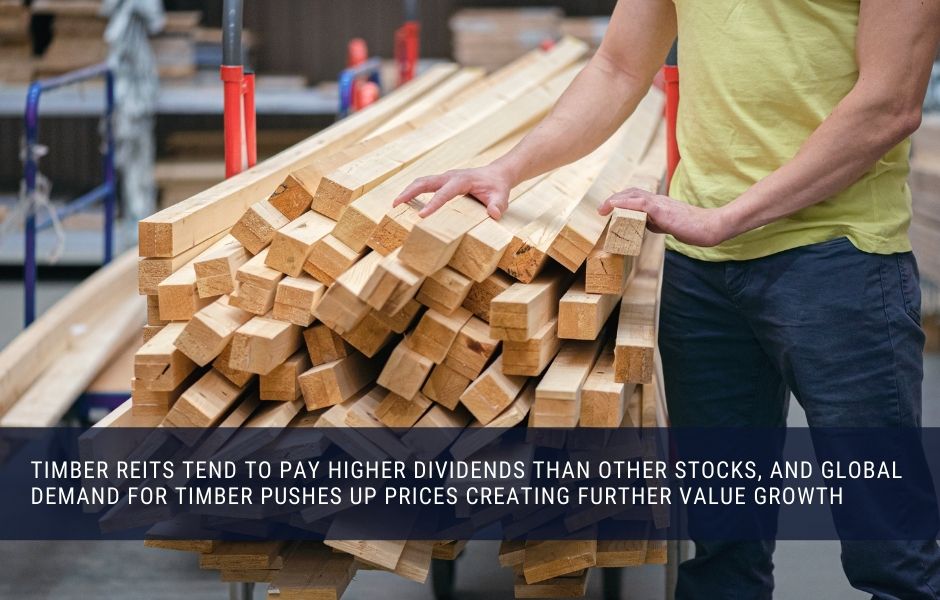 Timber REITs tend to pay higher dividends than other stocks