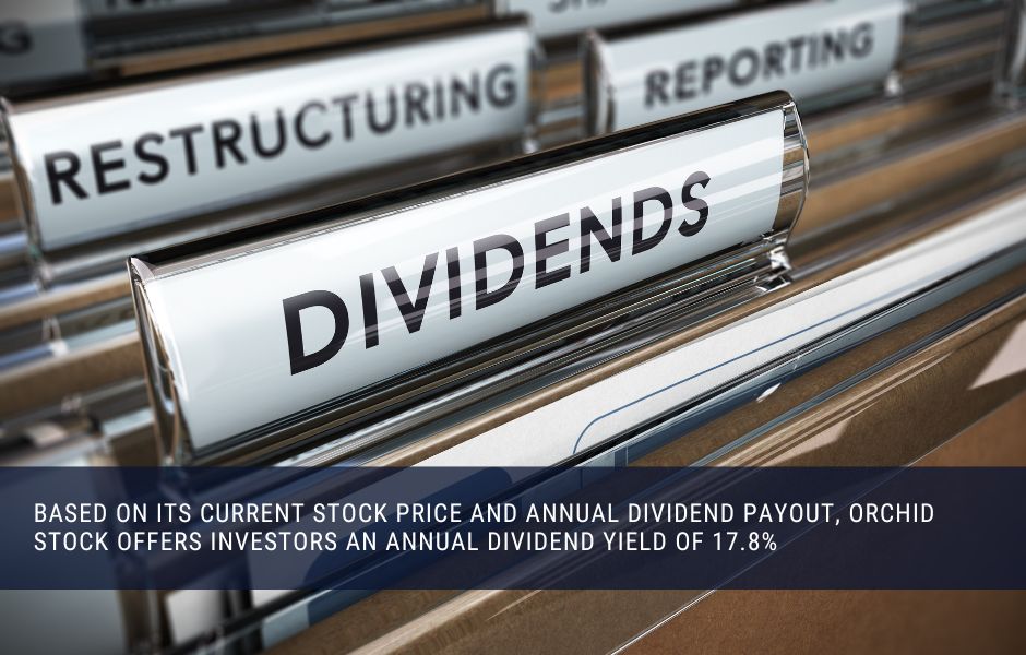 Orchid island capital dividend analysis