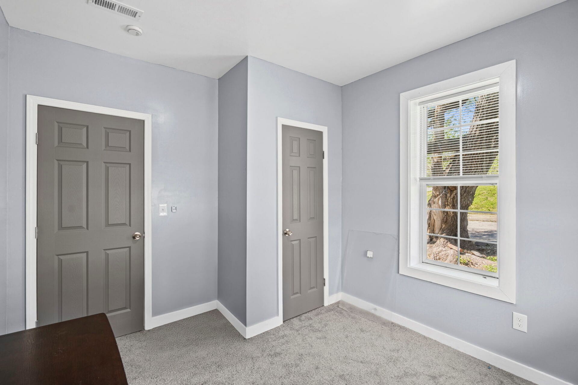 Corner of a small room with two gray paneled doors, white trim, and light blue walls; a window with blinds shows a tree outside on the right; carpeted floor.